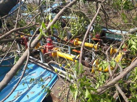Scrap at Pipava