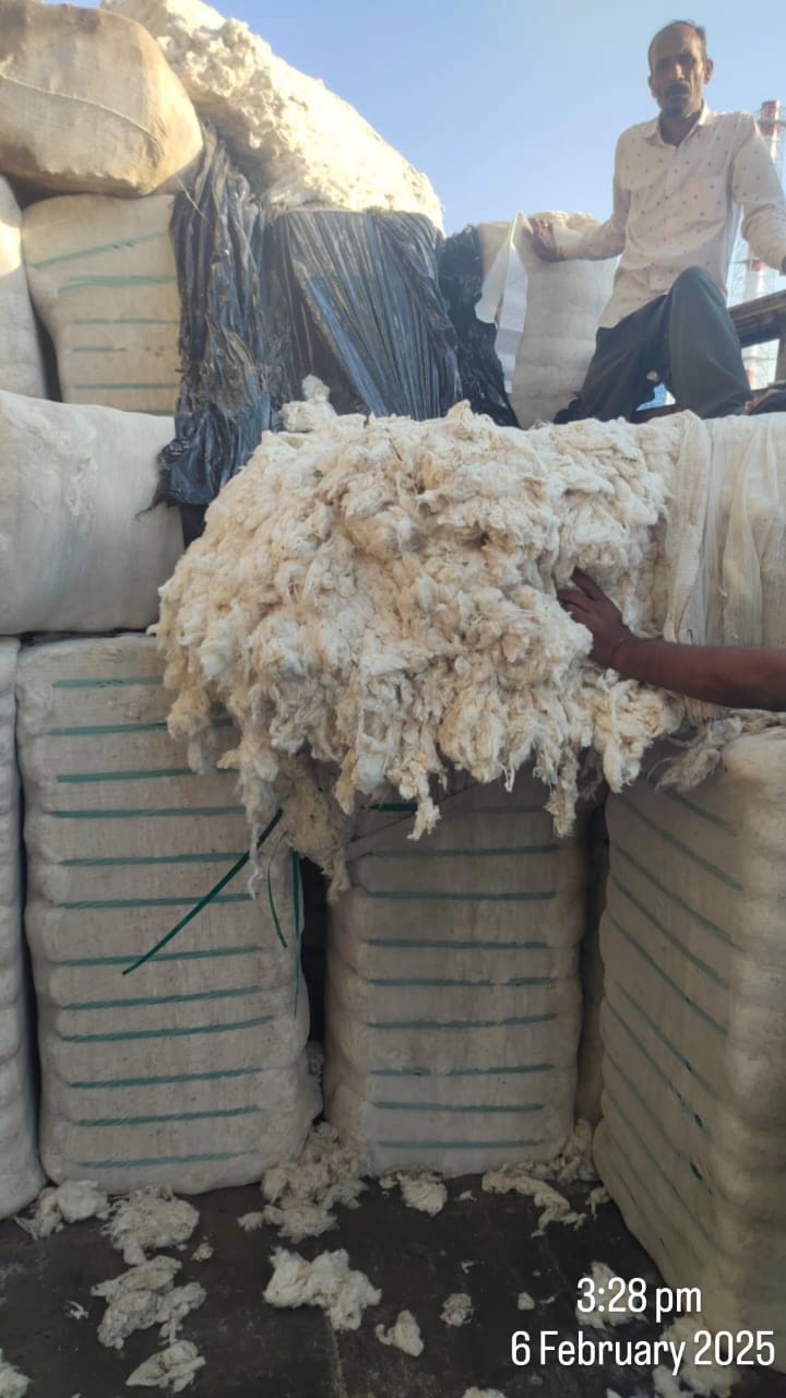 Disposal of water affected Cotton on "as is where is basis"