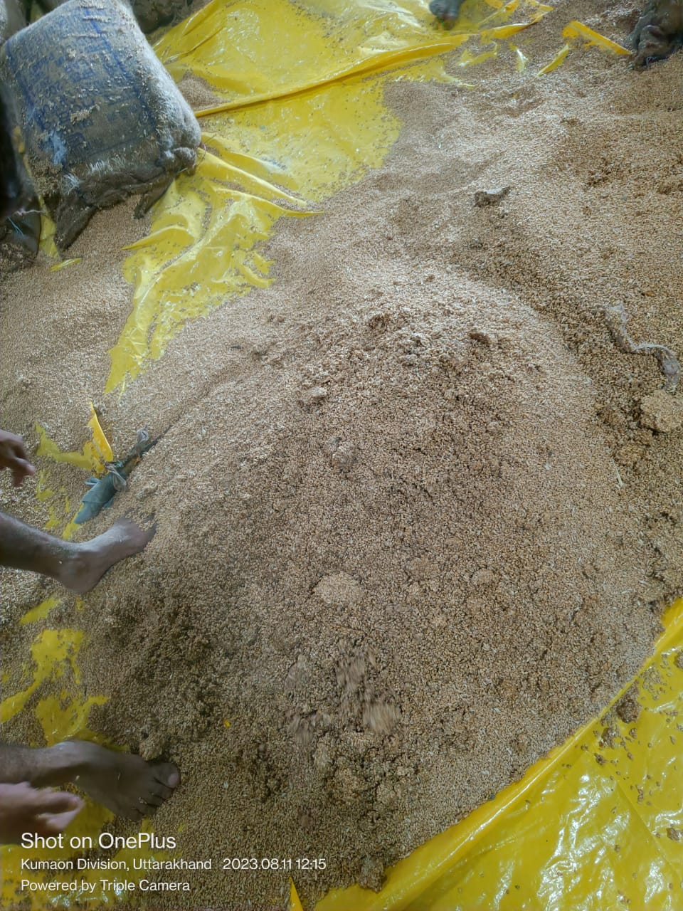 Disposal of rice,wheat,jute bags  etc lying at Gandhi Nagar, Banusha, uttrakhand