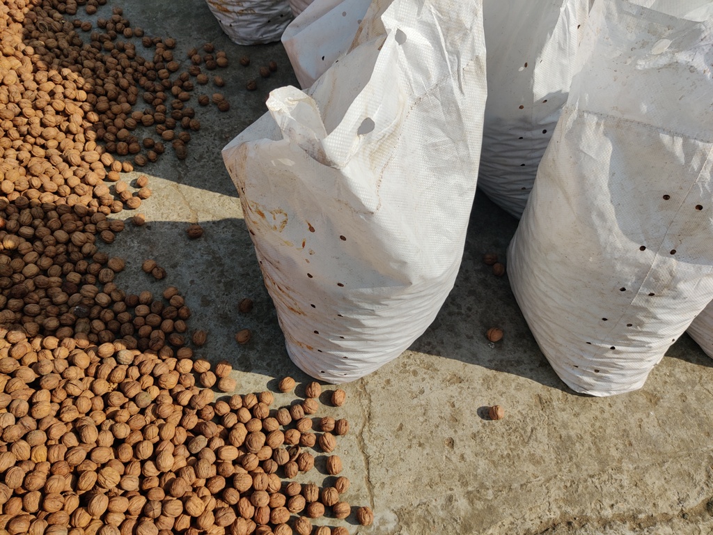 Disposal of Water Affected Walnut