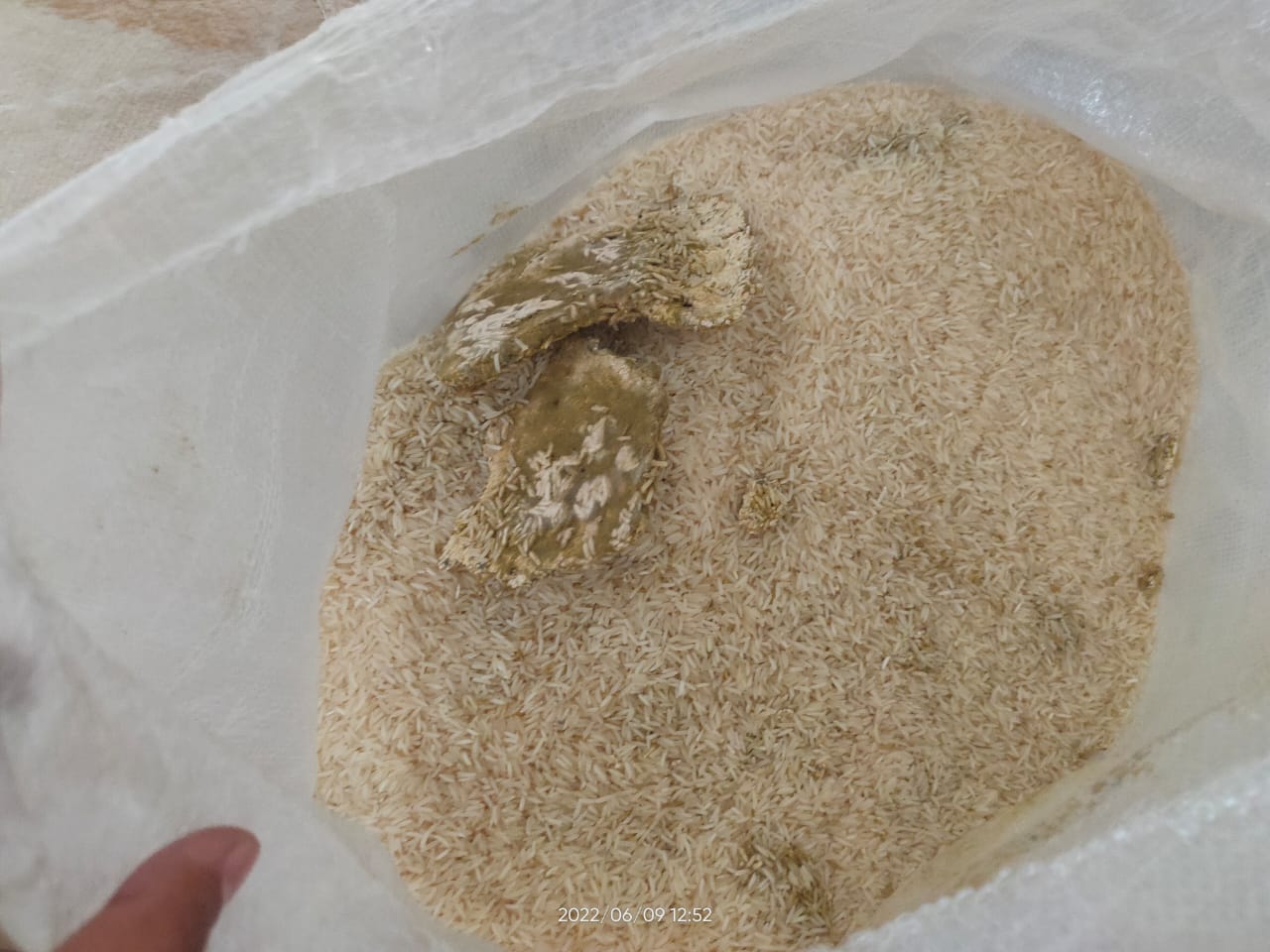 Disposal of Multiple varieties of 82400 kg Rice